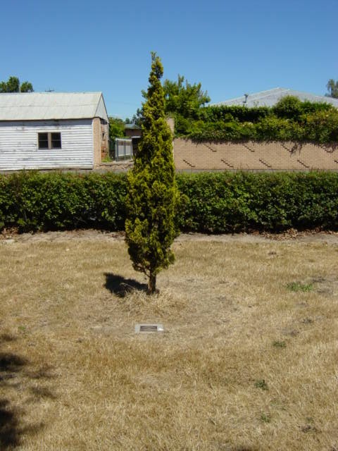 Full-size image