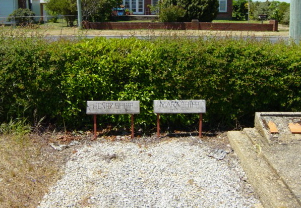 Full-size image