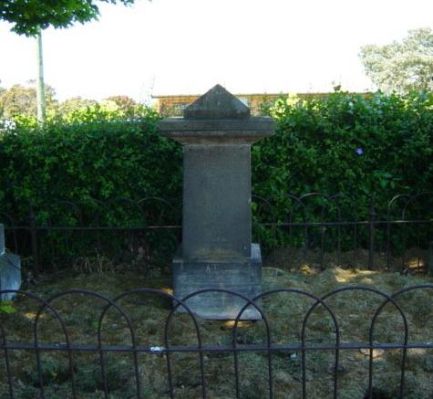 Full-size image