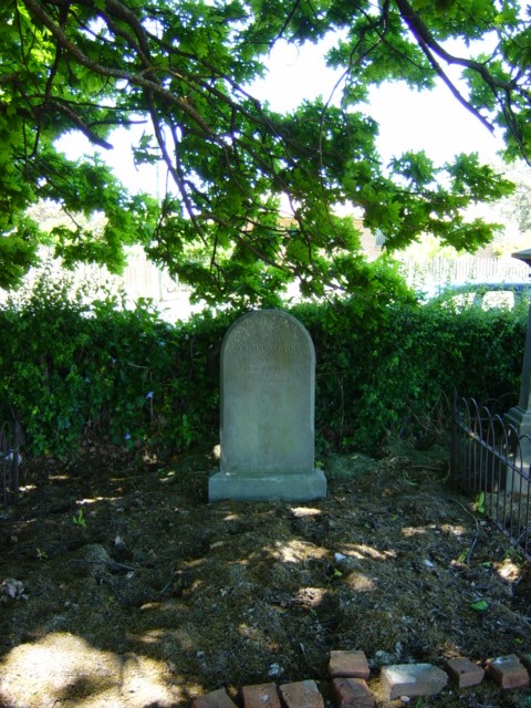 Full-size image