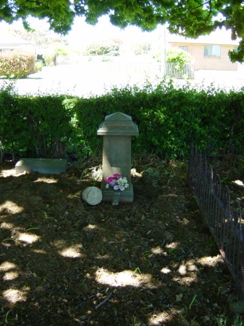 Full-size image
