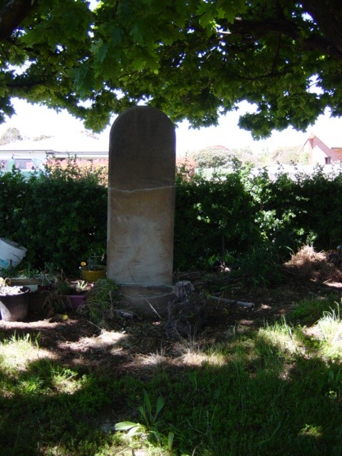 Full-size image