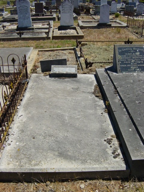 Full-size image