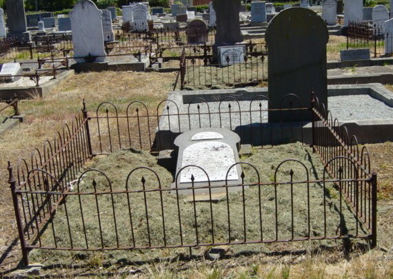 Full-size image
