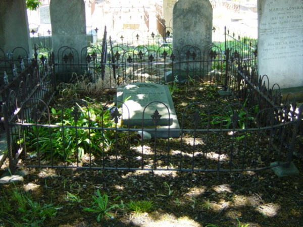 Full-size image