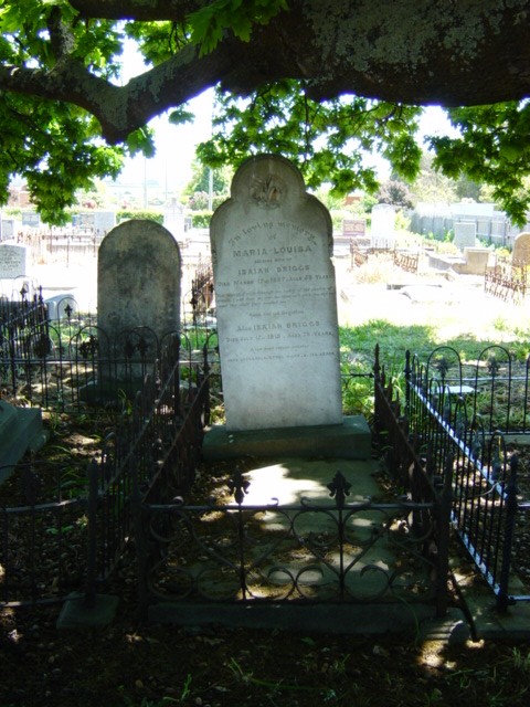 Full-size image