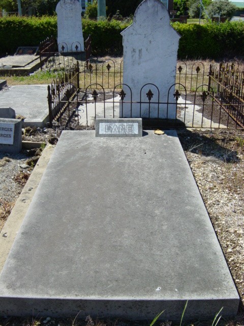 Full-size image