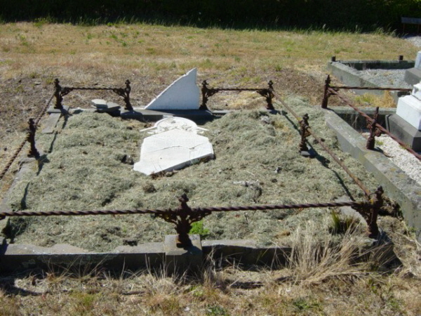 Full-size image