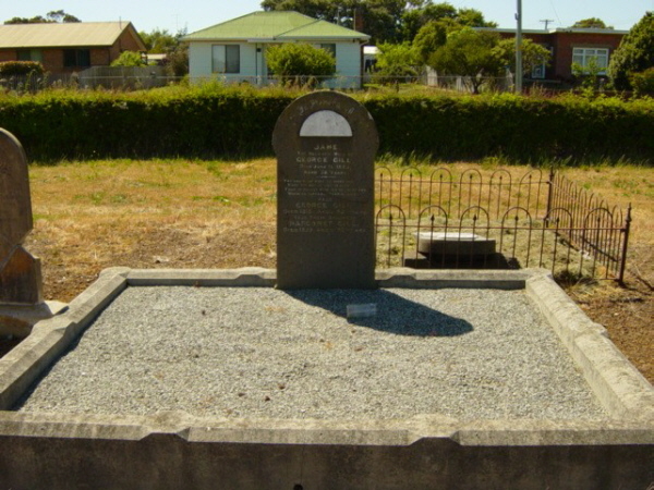 Full-size image