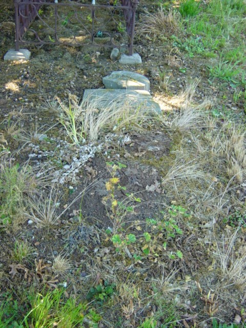 Full-size image