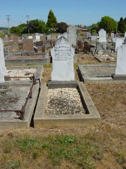 Full-size image
