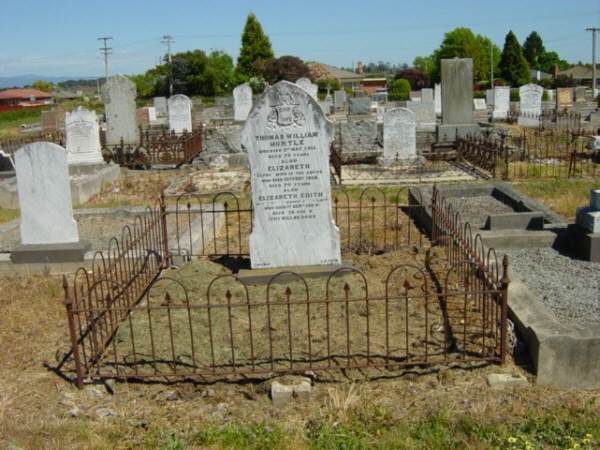 Full-size image