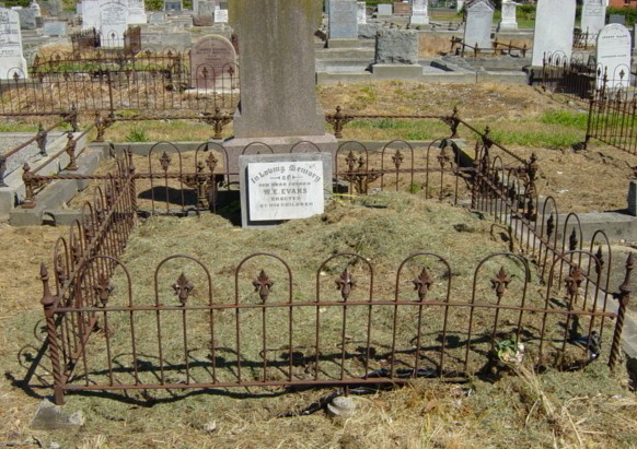 Full-size image