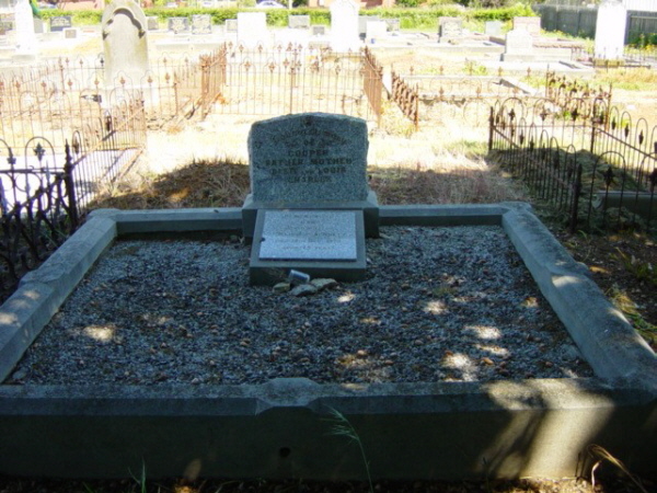 Full-size image