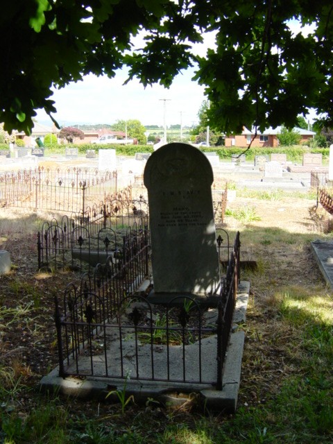 Full-size image