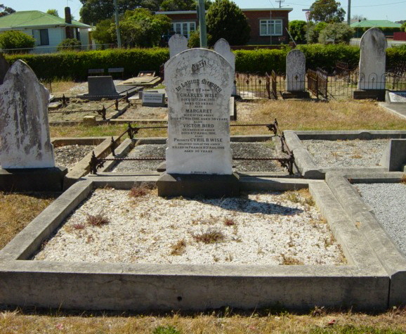 Full-size image