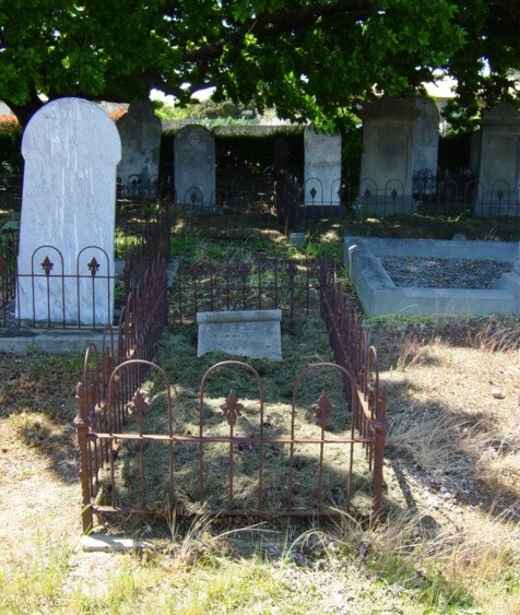 Full-size image
