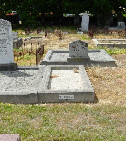 Full-size image