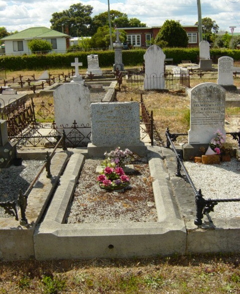 Full-size image