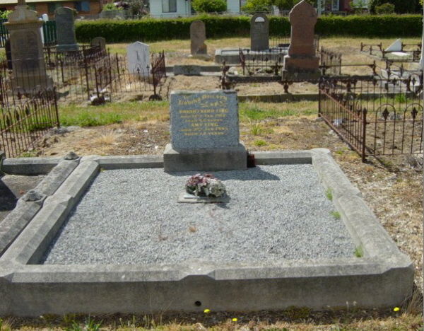Full-size image