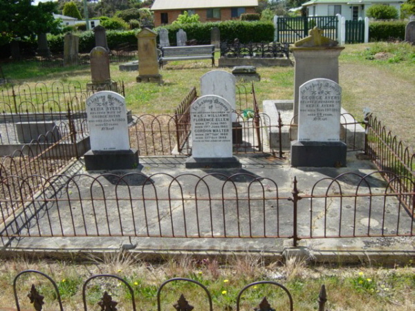 Full-size image