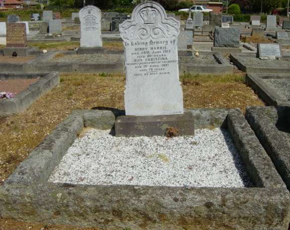 Full-size image