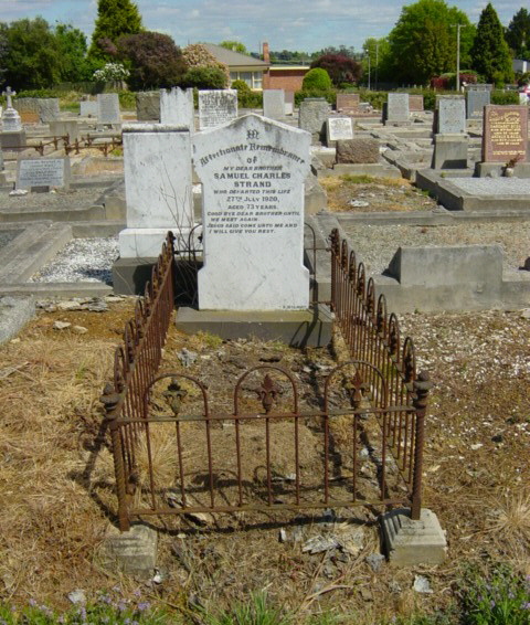 Full-size image