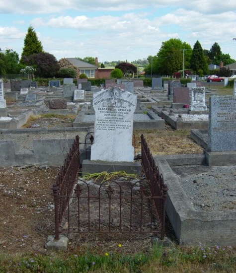 Full-size image