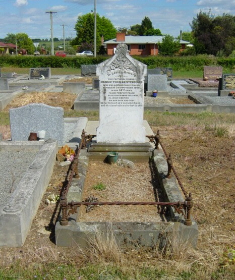 Full-size image