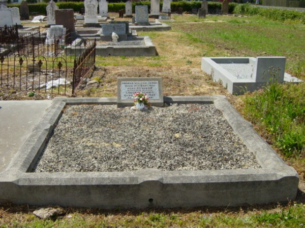 Full-size image