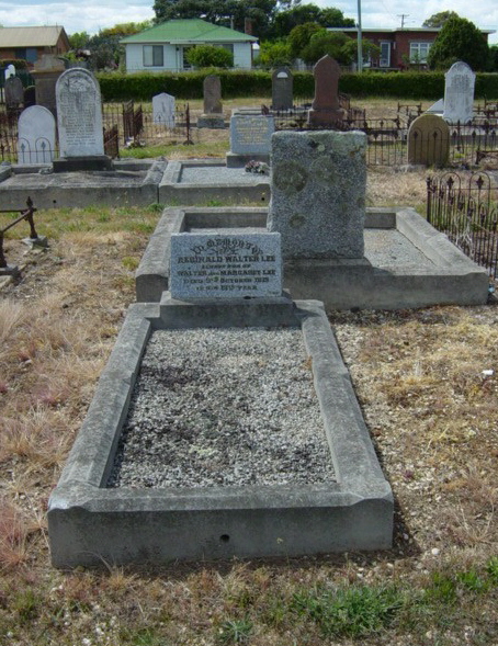 Full-size image