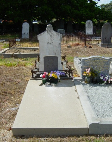 Full-size image