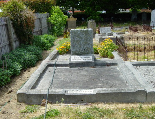 Full-size image
