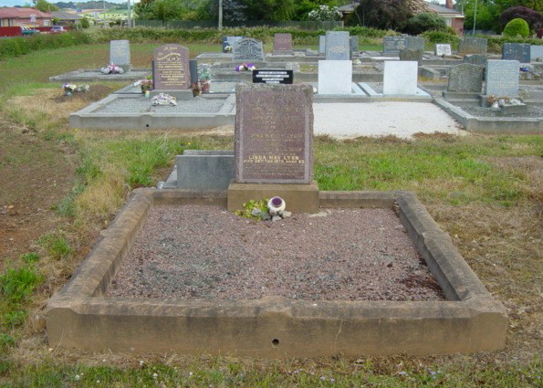 Full-size image