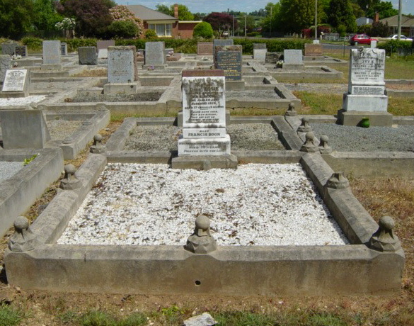 Full-size image