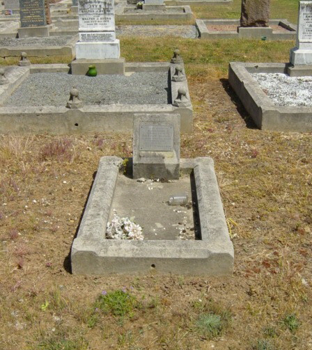 Full-size image
