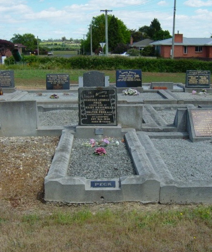 Full-size image