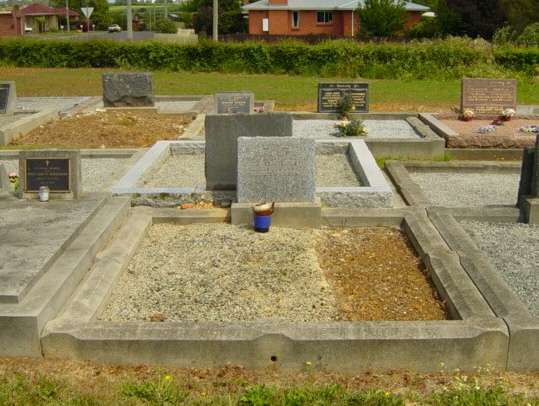 Full-size image