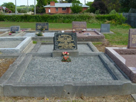 Full-size image