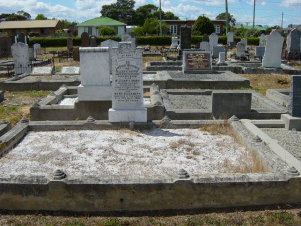 Full-size image