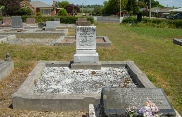 Full-size image