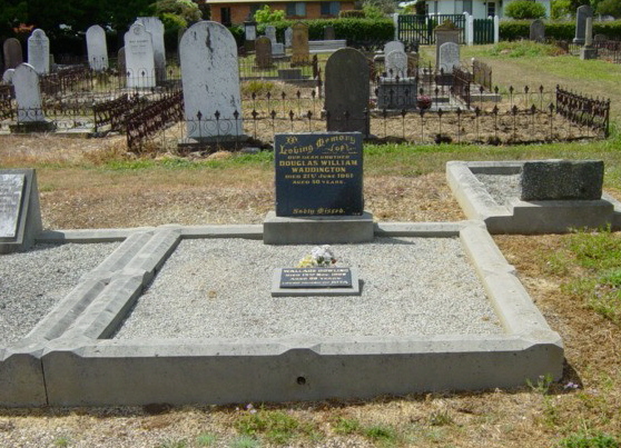 Full-size image