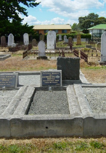 Full-size image