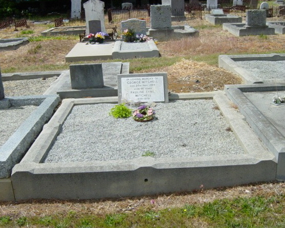 Full-size image