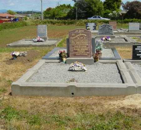 Full-size image