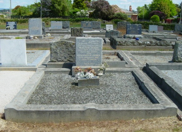 Full-size image
