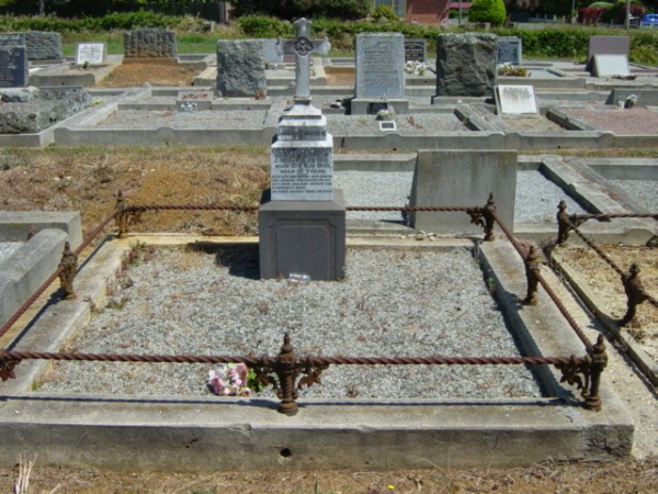 Full-size image