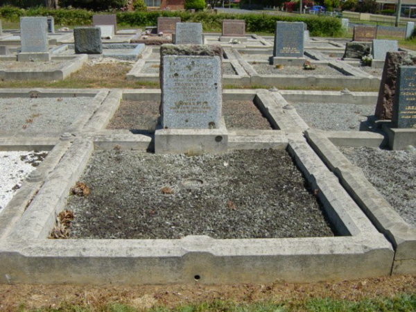 Full-size image