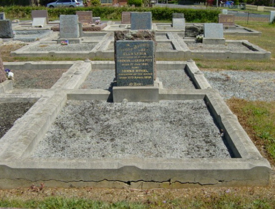 Full-size image