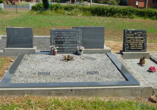 Full-size image